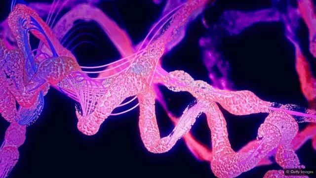 Bagaimana Kehidupan Pertama Terbentuk?