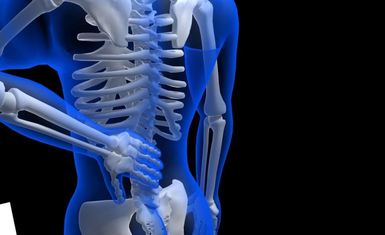 Tulang Manusia Lebih Kuat dari Baja tentang Kekuatan Tulang!