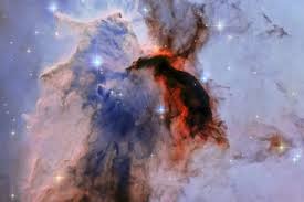 Keajaiban Alam Semesta, Hewan, Tubuh Manusia, dan Lainnya