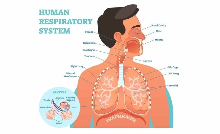 Oksigen Dibutuhkan Manusia untuk Bernapas dan Bertahan Hidup