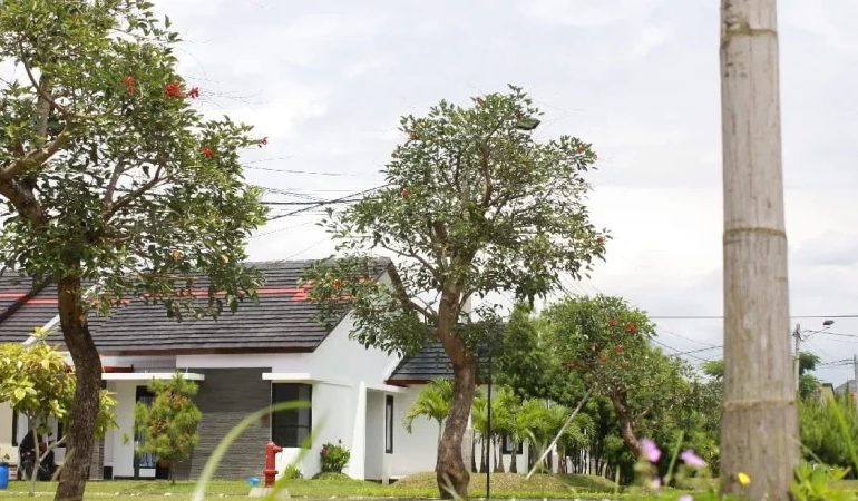 Lingkungan Perumahan yang Ideal Kunci Kesehatan