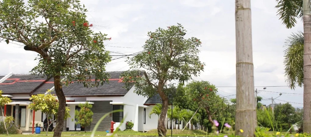 Lingkungan Perumahan yang Ideal Kunci Kesehatan