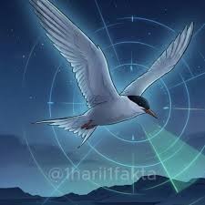 Burung Tidak Buang Air Kecil Fakta Unik Sistem Ekskresi