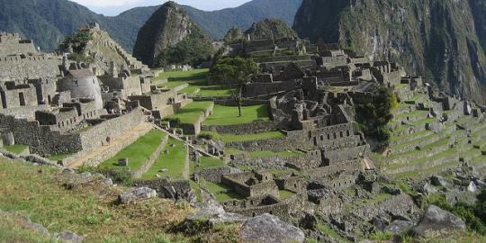 Hutan Hujan Tropis Paru-Paru Dunia yang Terancam