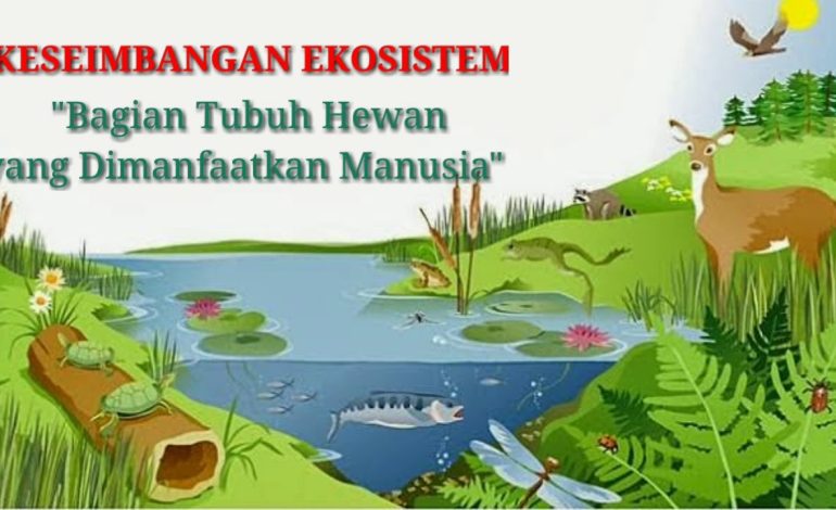 Keseimbangan Alam Fondasi Kehidupan Rapuh dan Tak Ternilai