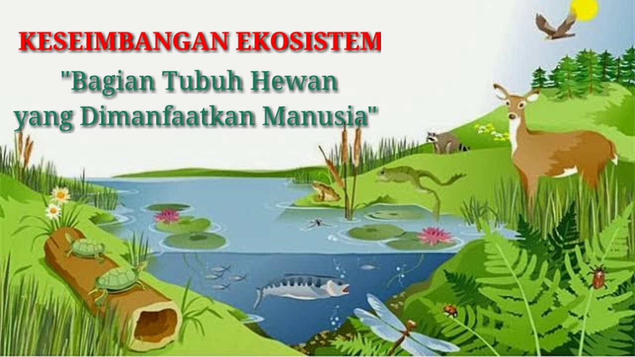 Keseimbangan Alam Fondasi Kehidupan Rapuh dan Tak Ternilai